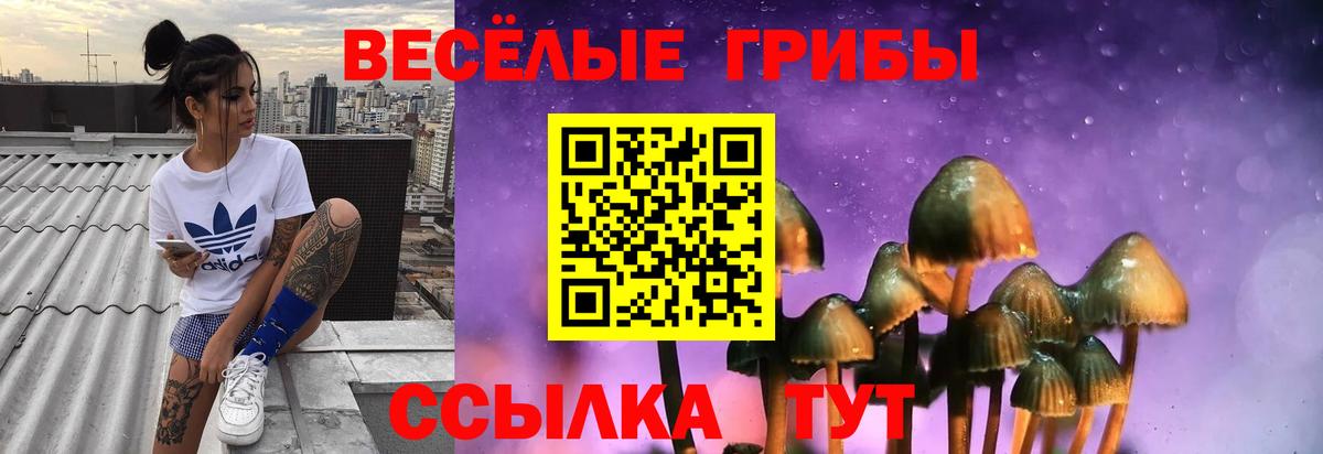 Галлюциногенные грибы Magic Shrooms  Галлюциногенные грибы MAGIC MUSHROOMS  Вход с VPN  Киреевск 